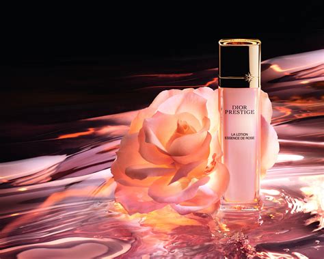 lotion essence de rose dior|Dior prestige rose serum.